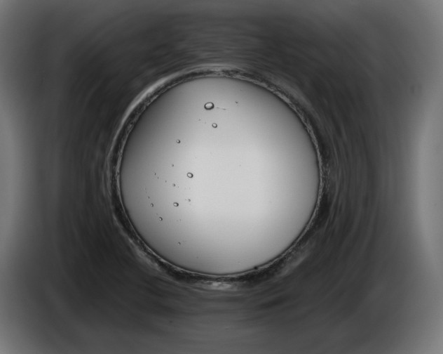 X0000086311412200704131621