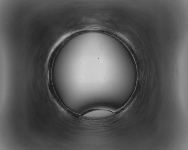 X0000086311414200704131621