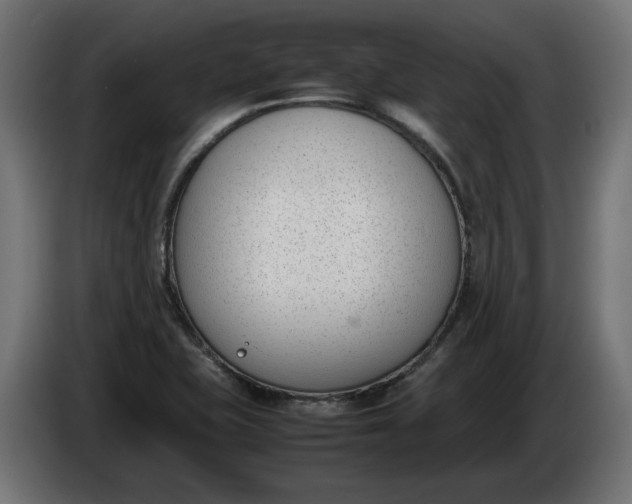 X0000086311415200704131621