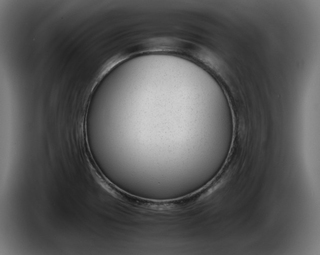 X0000086311417200704131621