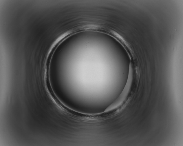 X0000086311418200704131621