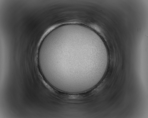 X0000086311421200704131621
