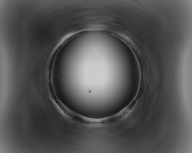 X0000086311422200704131621