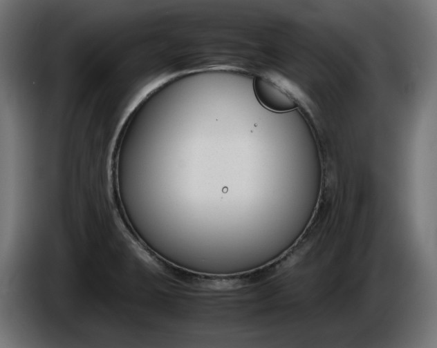 X0000086311423200704131621