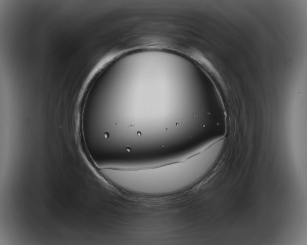 X0000086311424200704131621