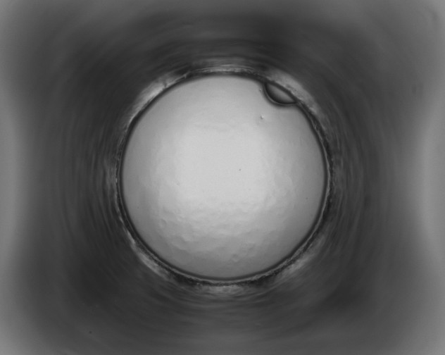 X0000086311425200704131621