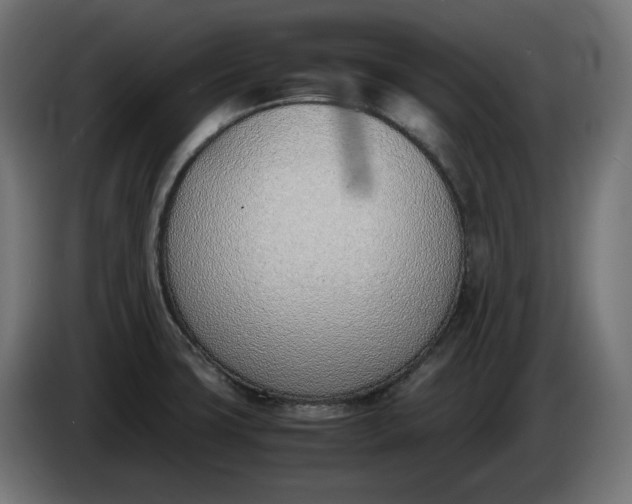 X0000086311427200704131621