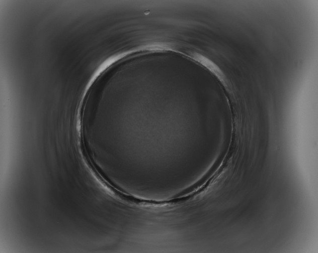 X0000086311428200704131621
