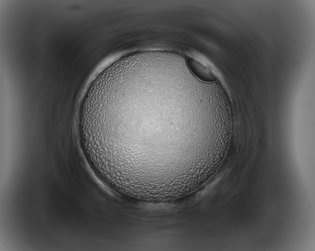 X0000086311429200704131621