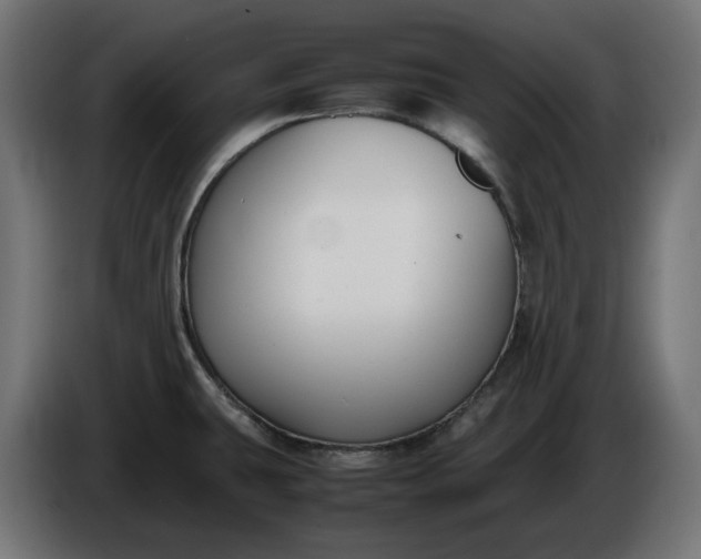 X0000086311431200704131622
