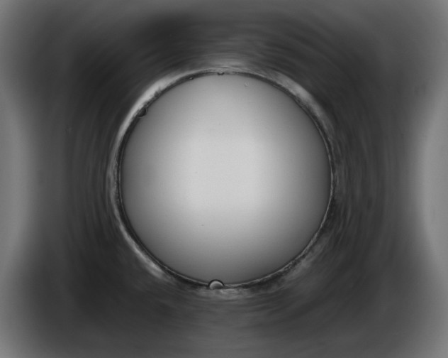 X0000086311432200704131622
