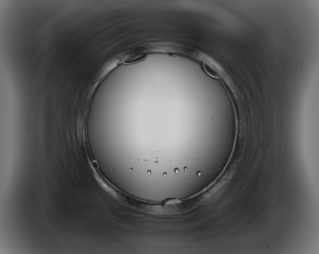 X0000086311433200704131622