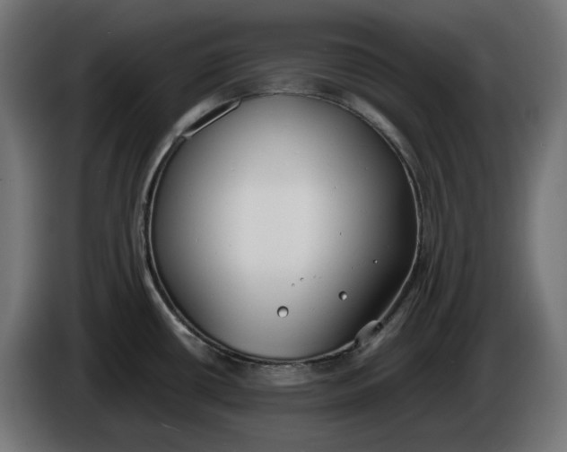X0000086311434200704131622