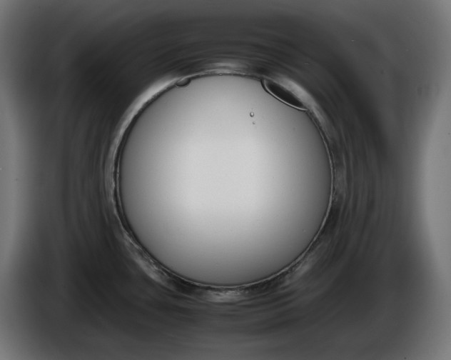 X0000086311435200704131622
