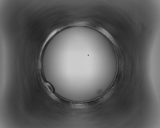X0000086311436200704131622