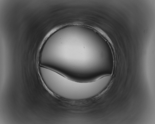 X0000086311437200704131622