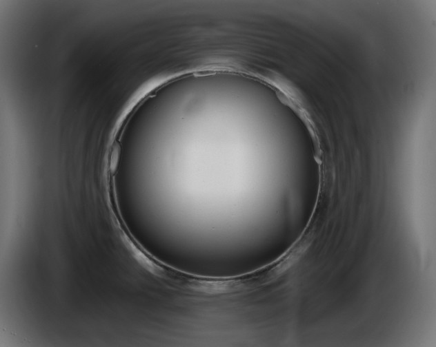 X0000086311438200704131622
