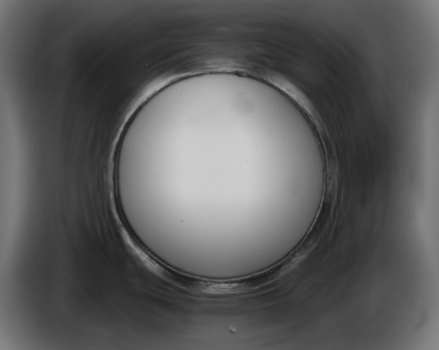 X0000086311439200704131622