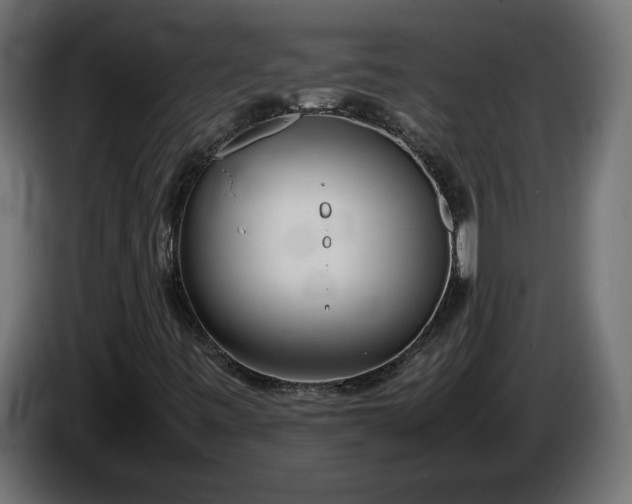 X0000086311443200704131621