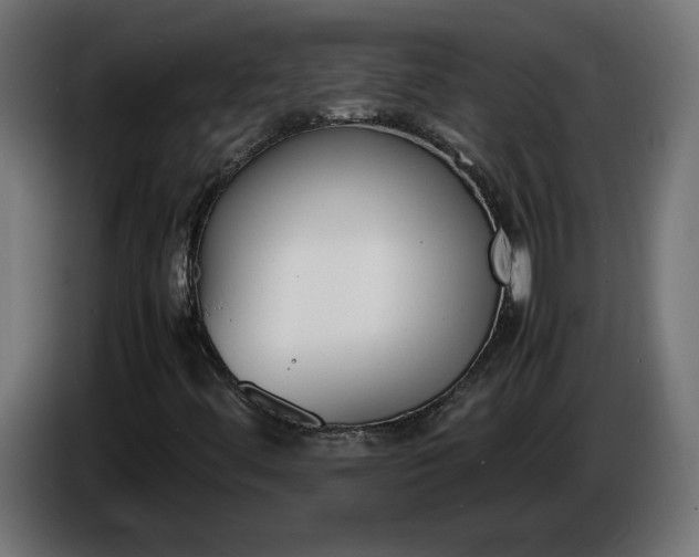 X0000086311444200704131621