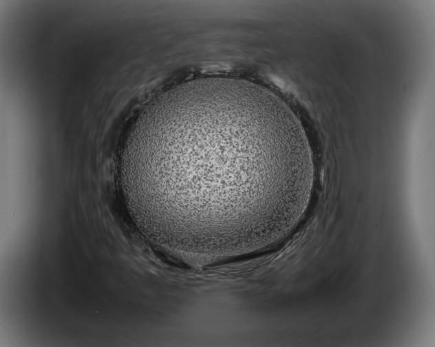 X0000086311445200704131621