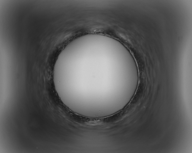 X0000086311447200704131621