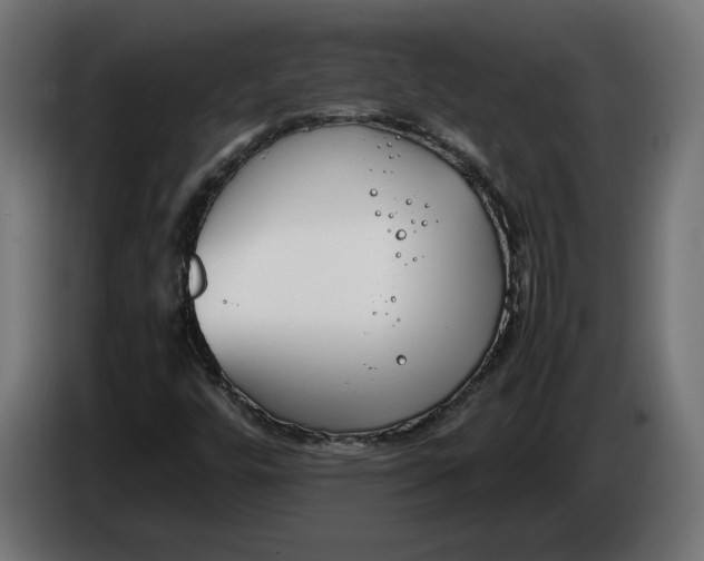 X0000086311448200704131621