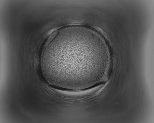 X0000086311449200704131621