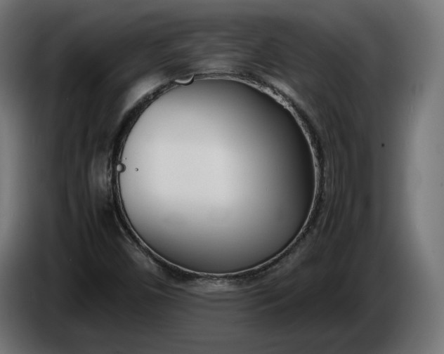 X0000086311450200704131621