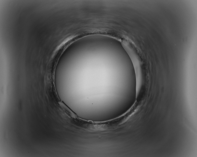 X0000086311453200704131621