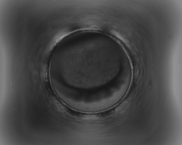 X0000086311455200704131621
