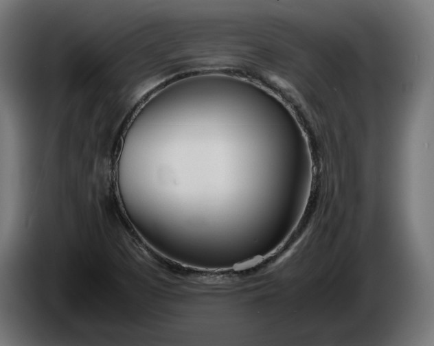 X0000086311457200704131621