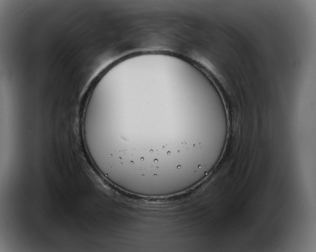 X0000086311460200704131621