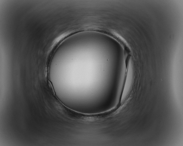 X0000086311461200704131621