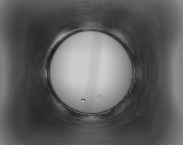 X0000086311462200704131621
