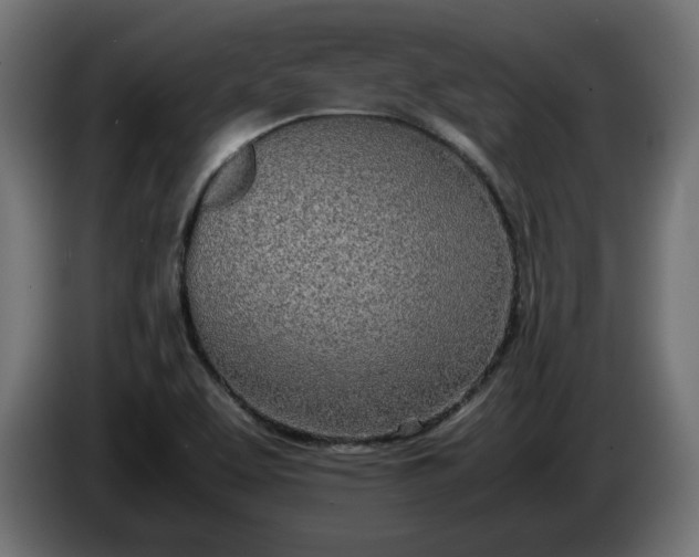 X0000086311463200704131621