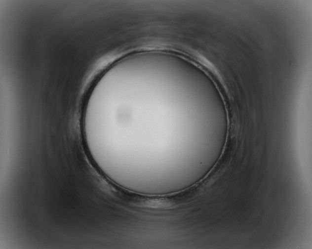 X0000086311464200704131621