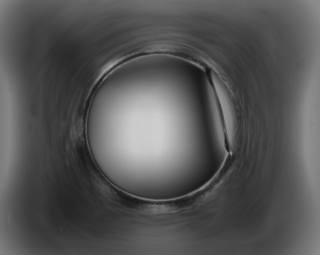 X0000086311465200704131621