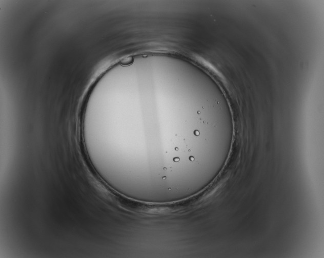 X0000086311467200704131621
