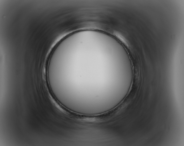 X0000086311468200704131621