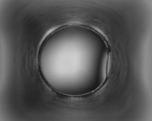 X0000086311469200704131621
