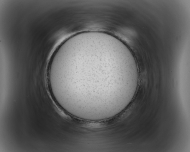 X0000086311470200704131621