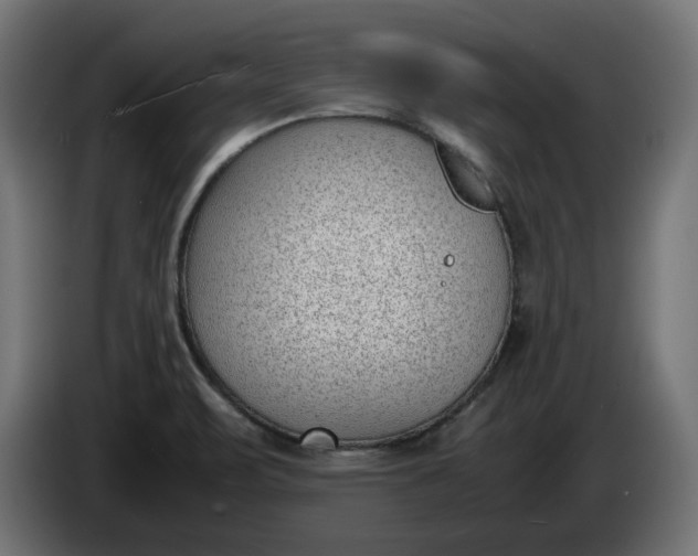 X0000086311471200704131621