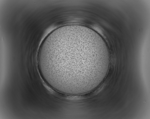 X0000086311474200704131620
