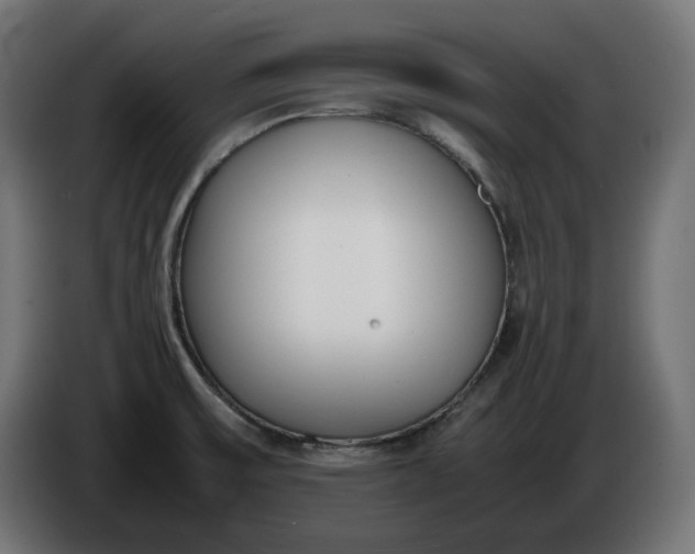 X0000086311475200704131620