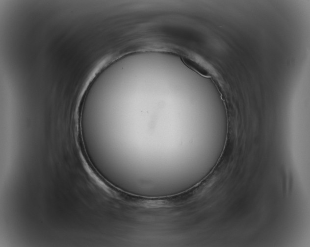 X0000086311479200704131620