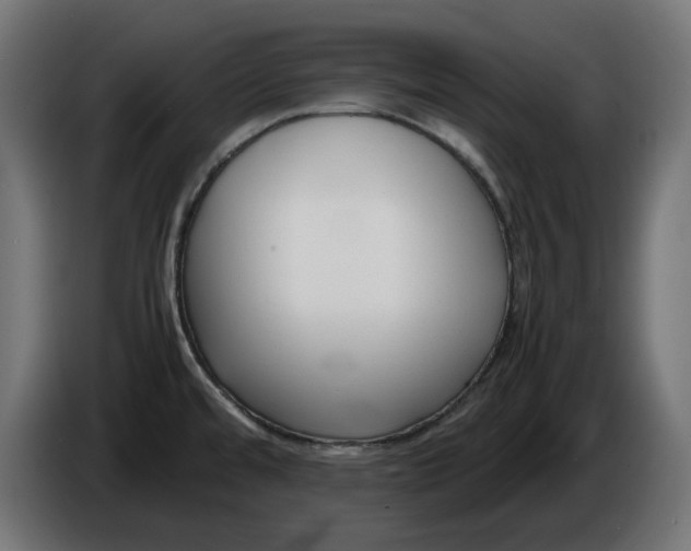 X0000086311480200704131620