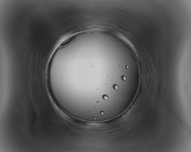 X0000086311483200704131620