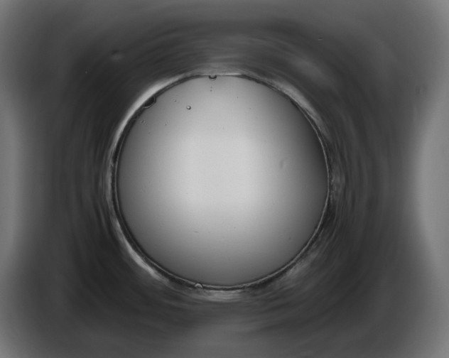 X0000086311484200704131620