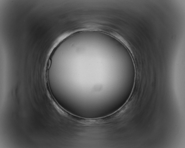 X0000086311485200704131620